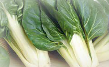 Perpetual spinach (Erbette)