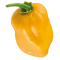 Habanero Orange