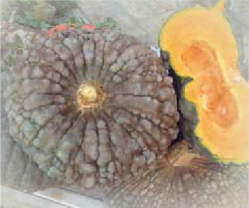 Marina di Chioggia