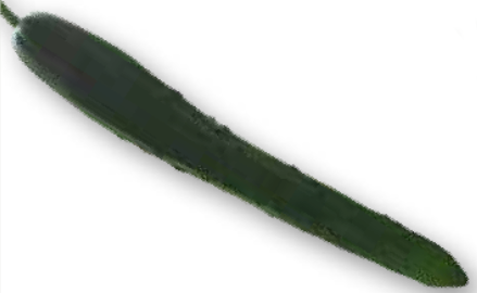 Green Evolution F1